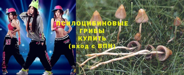 крисы Алексеевка