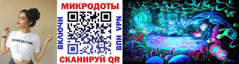 Купить где  Петушки  Галлюциногенные грибы Psilocybine cubensis 